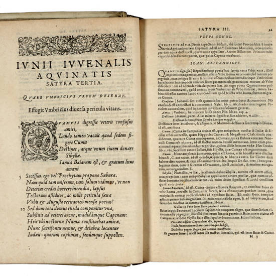 Satyrae sexdecim, cum veteris scholiastae et Ioan. Britannici Commentariis, quibus accesserunt. P. Pithoei, Caelij Secundi Curionis, et Theodori Pulmanni Notae et Variae Lectiones ...