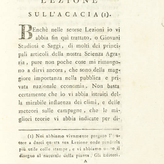 Sulla coltura e usi dell'Acacia, o Robinia 'Robinia Pseudo-Acacia': Lin. Albero che cresce presto e forma un legno duro e colorito: Lezione recitata il 7 Agosto in quest'anno 1800.