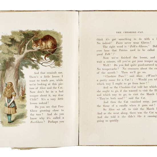 The Nursery Alice containing twenty coloured enlargements from Tenniel's illustrations [...] the cover designed and coloured by E. Gertrude Thomson.