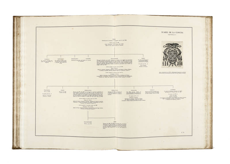 Famiglie patrizie fiorentine. Appunti genealogici in XXXIV tavole di testo e III di incisioni...Vedute e stemmi incisi da M.A. Falorsi.